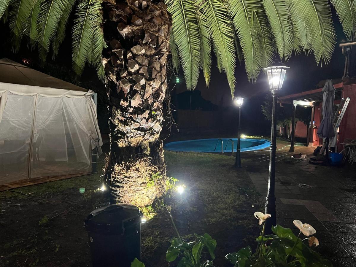 Ceiba *